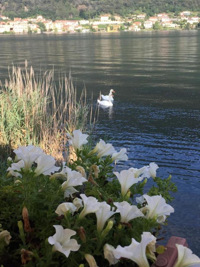 La casa dei cigni sul lago d’Orta Omegna Esterno foto
